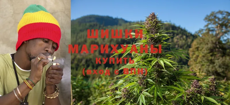 где можно купить наркотик  Грайворон  Каннабис LSD WEED 